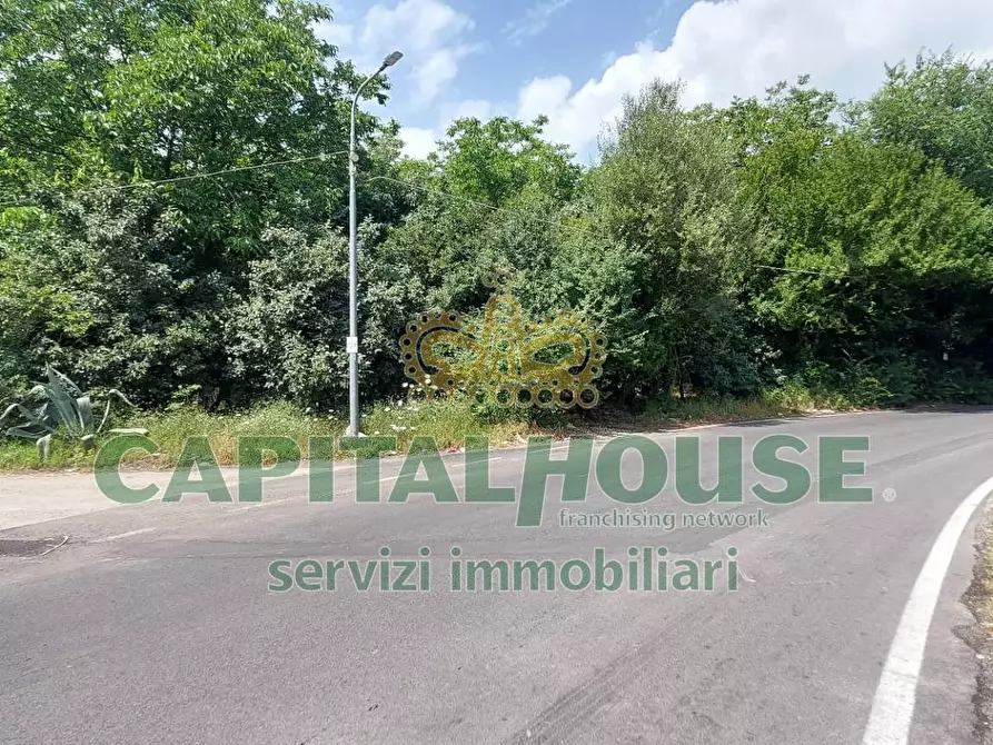 Immagine 8 di Terreno agricolo in affitto  in via ciccarelli a Cercola