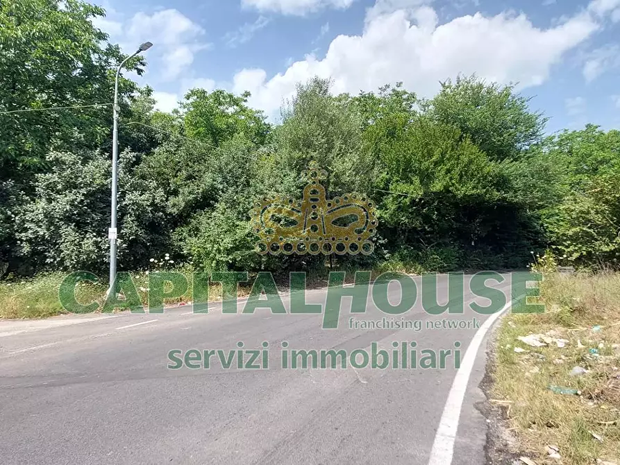 Immagine 10 di Terreno agricolo in affitto  in via ciccarelli a Cercola