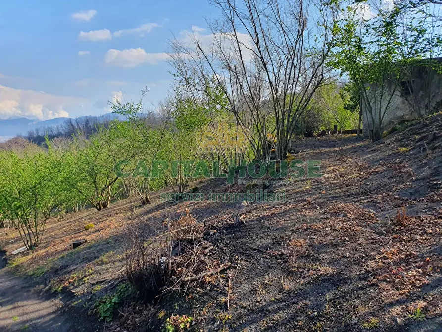 Immagine 2 di Terreno agricolo in vendita  in via zabatta a Ottaviano