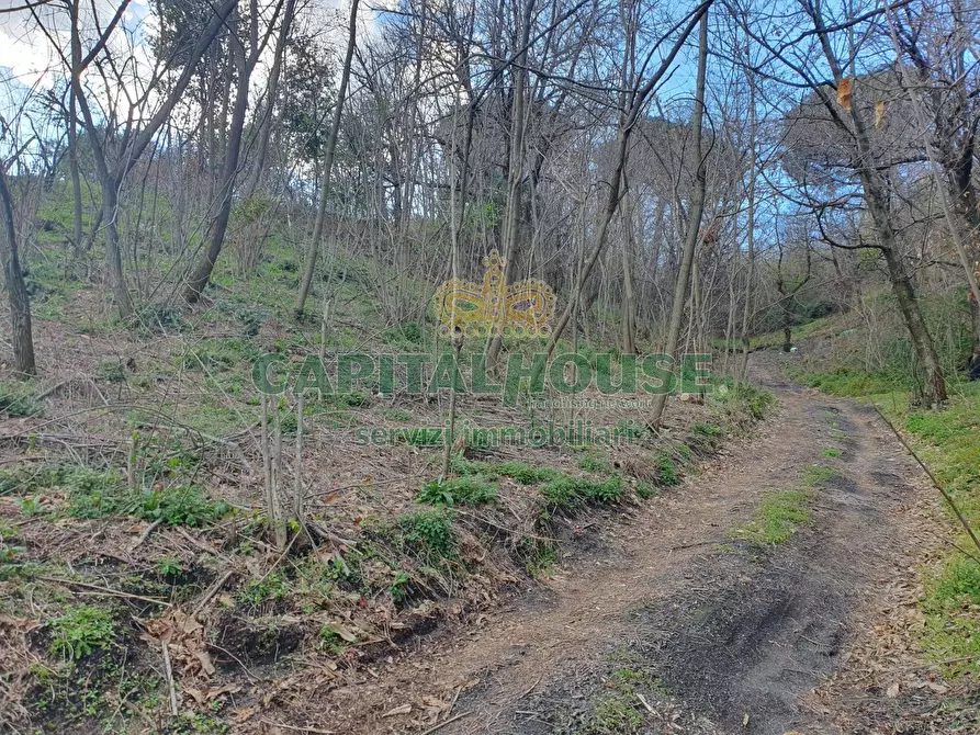 Immagine 14 di Terreno agricolo in vendita  in via zabatta a Ottaviano