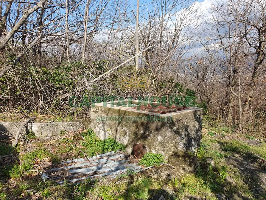 Immagine 4 di Terreno agricolo in vendita  in via zabatta a Ottaviano