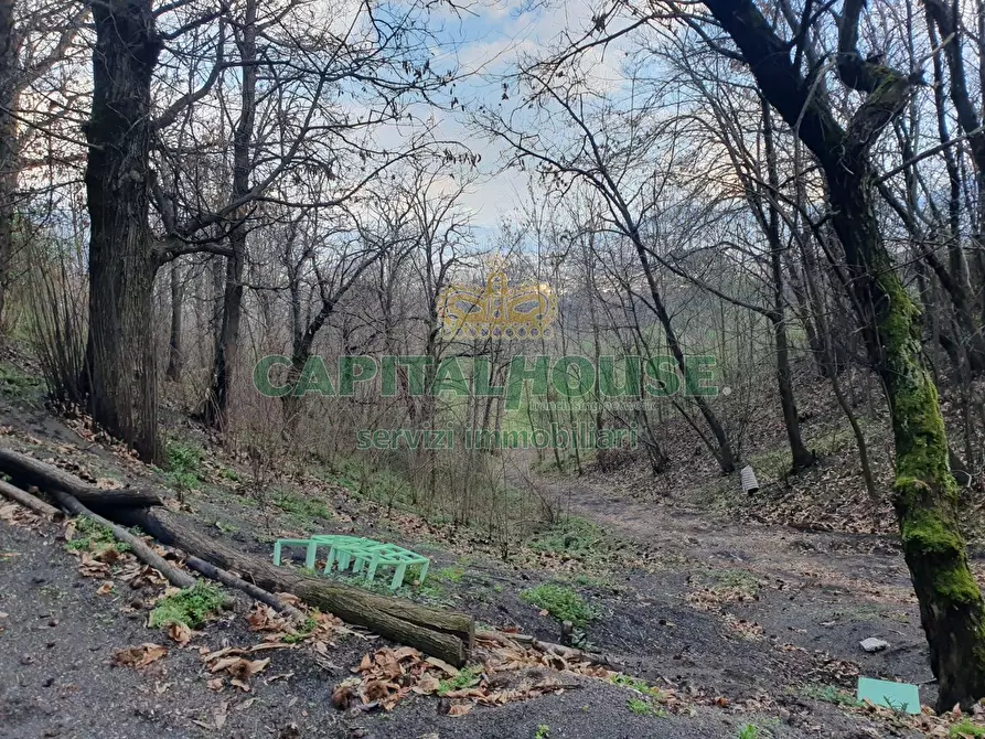 Immagine 5 di Terreno agricolo in vendita  in via zabatta a Ottaviano