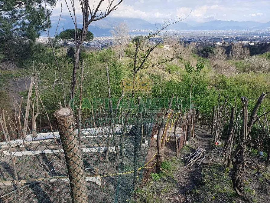 Immagine 6 di Terreno agricolo in vendita  in via zabatta a Ottaviano