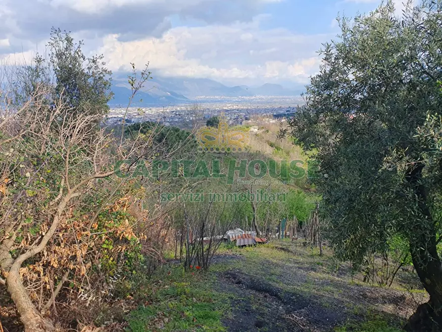 Immagine 7 di Terreno agricolo in vendita  in via zabatta a Ottaviano