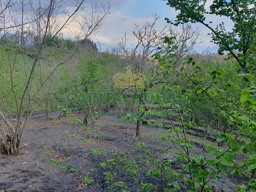 Immagine 8 di Terreno agricolo in vendita  in via zabatta a Ottaviano