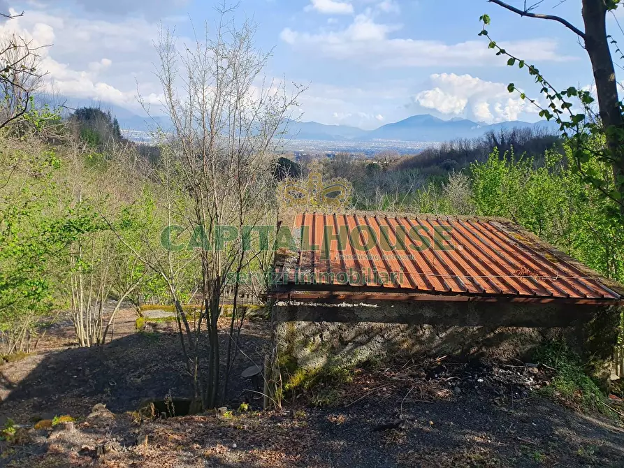 Immagine 9 di Terreno agricolo in vendita  in via zabatta a Ottaviano