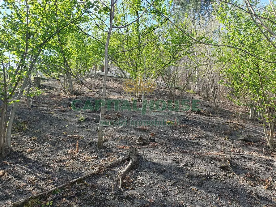Immagine 11 di Terreno agricolo in vendita  in via zabatta a Ottaviano