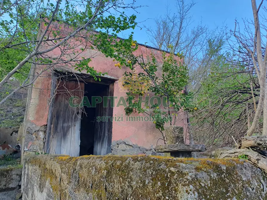 Immagine 12 di Terreno agricolo in vendita  in via zabatta a Ottaviano