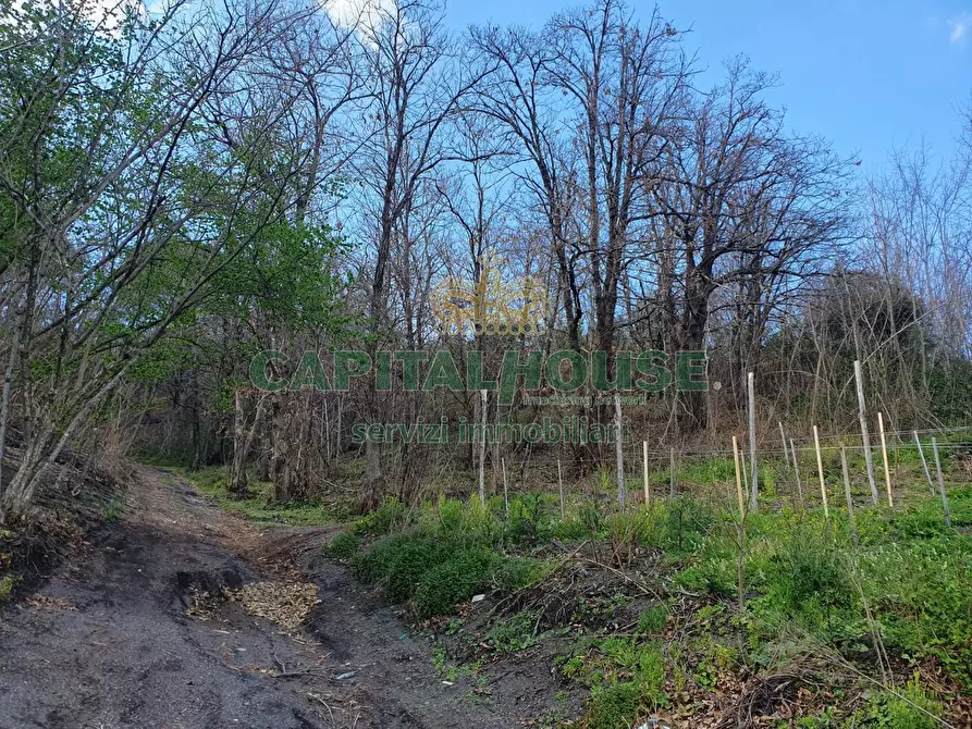 Immagine 13 di Terreno agricolo in vendita  in via zabatta a Ottaviano