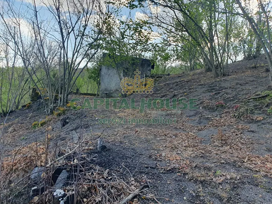 Immagine 19 di Terreno agricolo in vendita  in via zabatta a Ottaviano