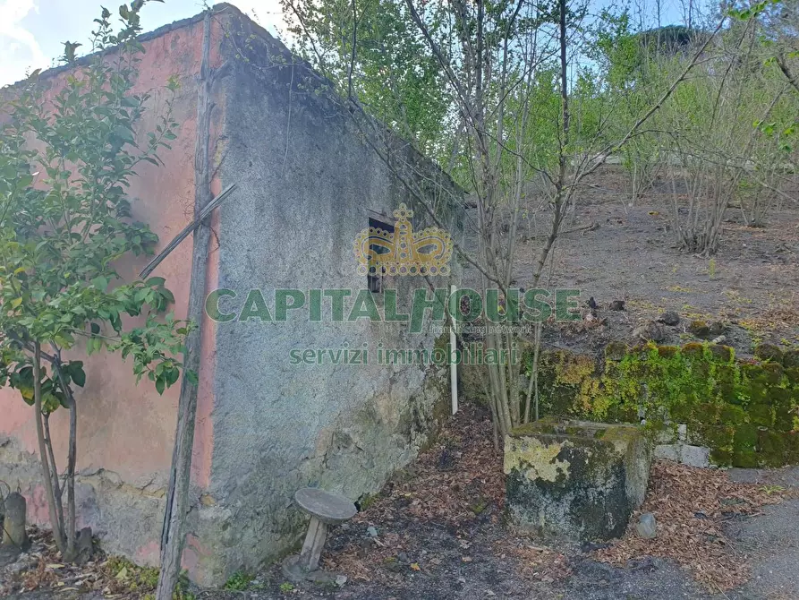 Immagine 18 di Terreno agricolo in vendita  in via zabatta a Ottaviano