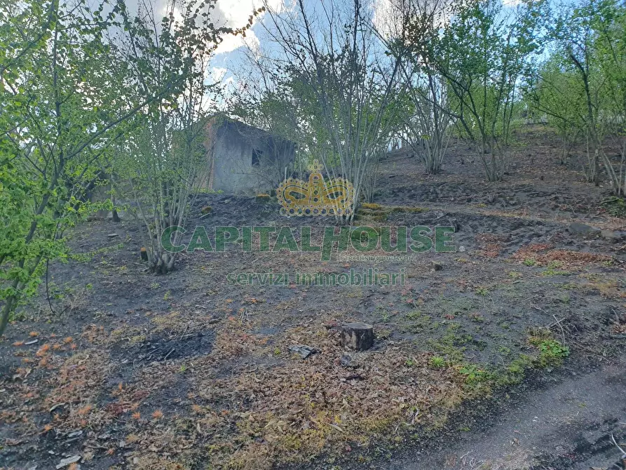 Immagine 20 di Terreno agricolo in vendita  in via zabatta a Ottaviano