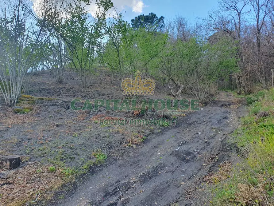 Immagine 22 di Terreno agricolo in vendita  in via zabatta a Ottaviano