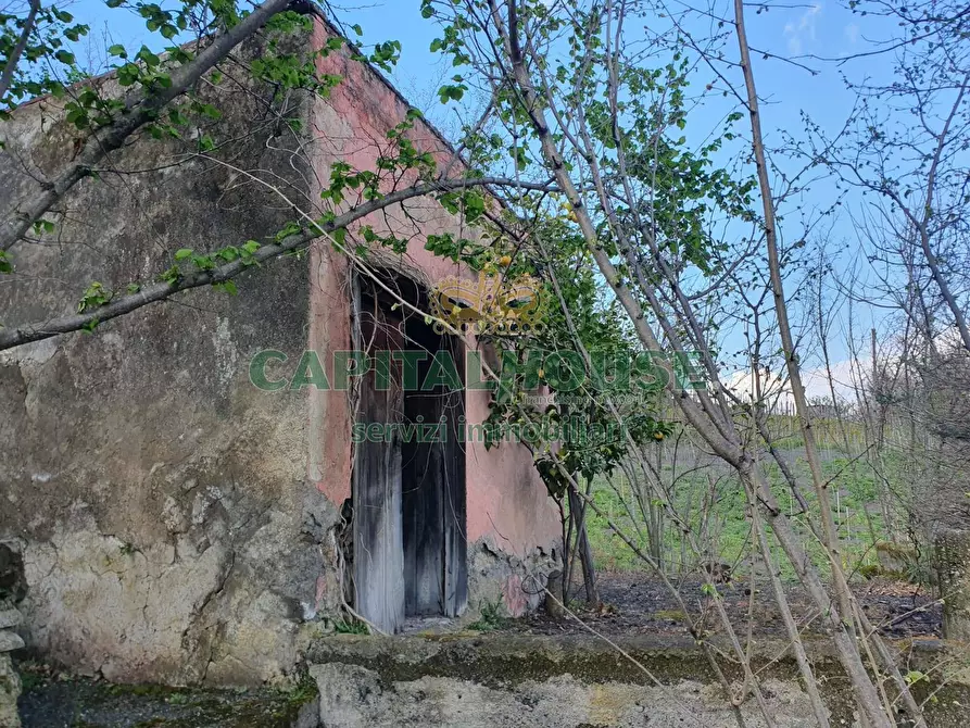 Immagine 28 di Terreno agricolo in vendita  in via zabatta a Ottaviano