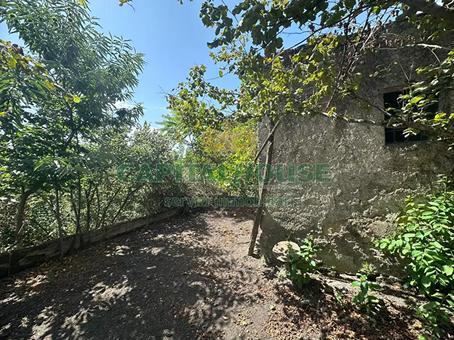 Immagine 24 di Terreno agricolo in vendita  in via zabatta a Ottaviano