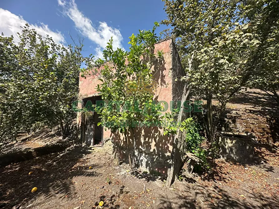 Immagine 10 di Terreno agricolo in vendita  in via zabatta a Ottaviano