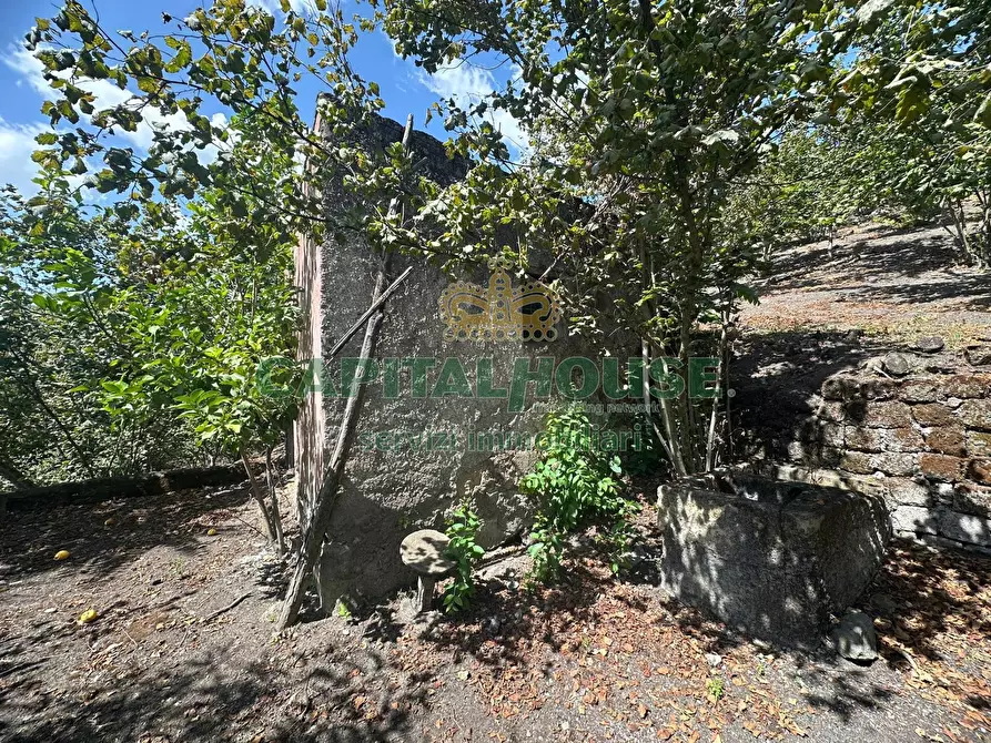 Immagine 26 di Terreno agricolo in vendita  in via zabatta a Ottaviano