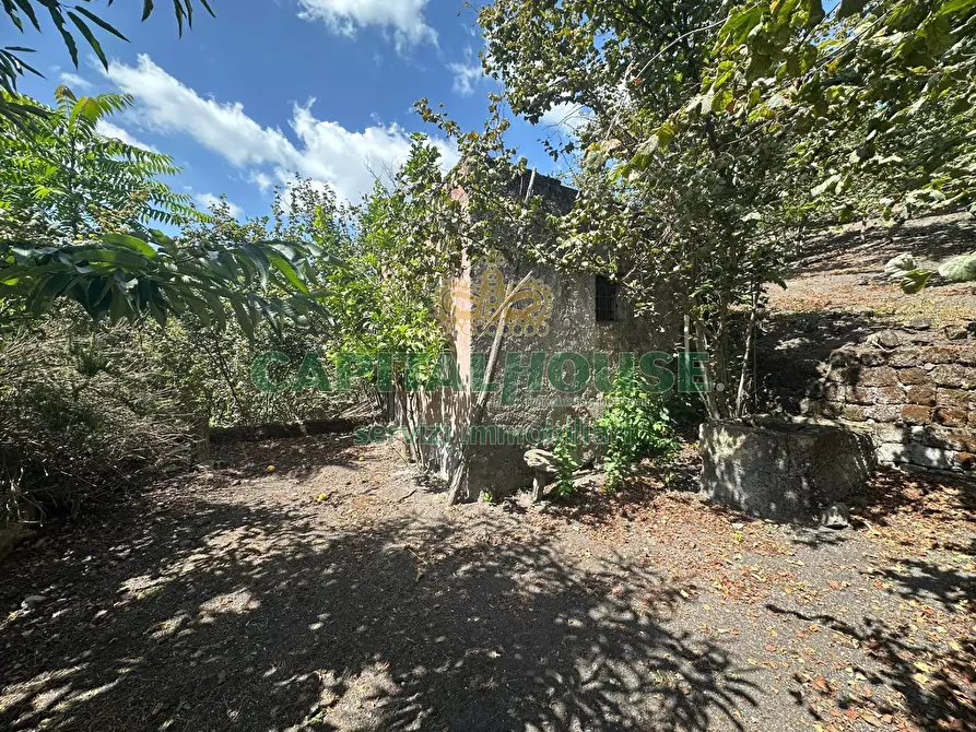 Immagine 27 di Terreno agricolo in vendita  in via zabatta a Ottaviano