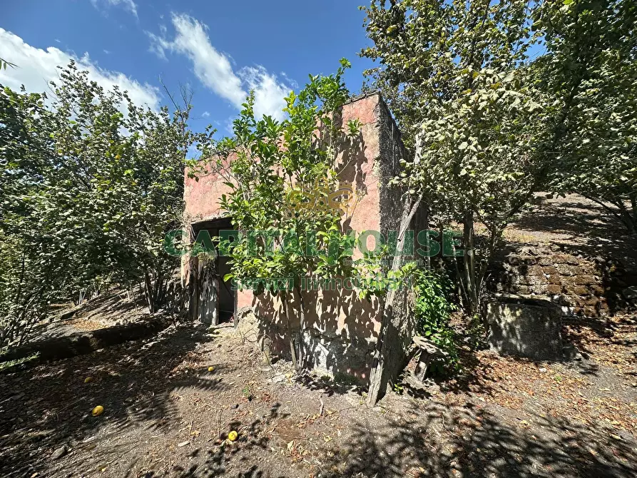 Immagine 16 di Terreno agricolo in vendita  in via zabatta a Ottaviano