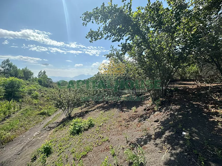 Immagine 29 di Terreno agricolo in vendita  in via zabatta a Ottaviano