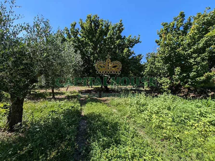Immagine 10 di Terreno agricolo in vendita  in Contrada Fellino a Cicciano