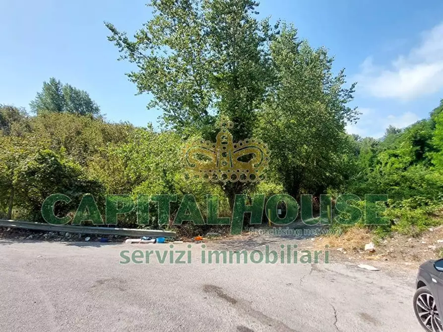 Immagine 8 di Terreno agricolo in vendita  in via Scavolella a Ottaviano