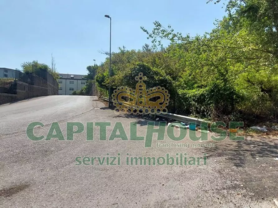 Immagine 3 di Terreno agricolo in vendita  in via Scavolella a Ottaviano