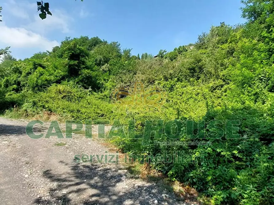 Immagine 6 di Terreno agricolo in vendita  in via Scavolella a Ottaviano