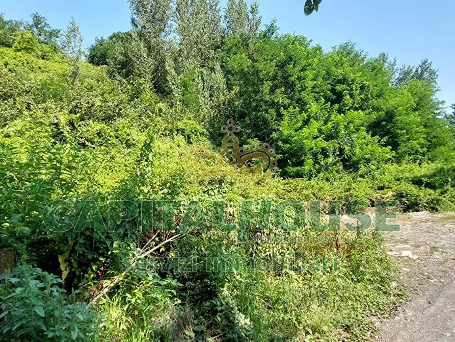 Immagine 4 di Terreno agricolo in vendita  in via Scavolella a Ottaviano