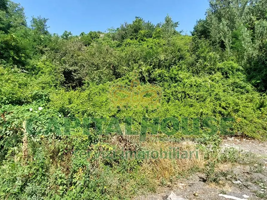 Immagine 5 di Terreno agricolo in vendita  in via Scavolella a Ottaviano