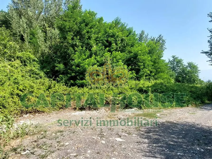 Immagine 9 di Terreno agricolo in vendita  in via Scavolella a Ottaviano