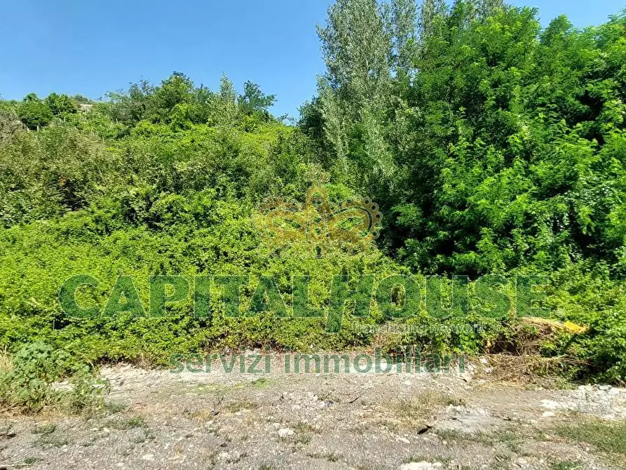 Immagine 7 di Terreno agricolo in vendita  in via Scavolella a Ottaviano