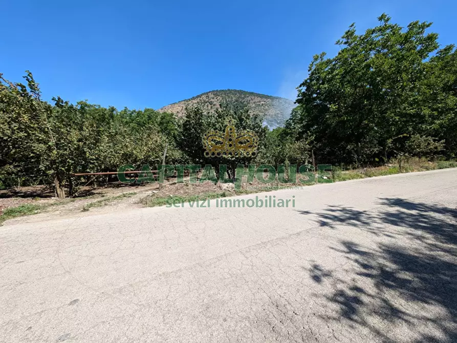 Immagine 1 di Terreno agricolo in vendita  a Cicciano