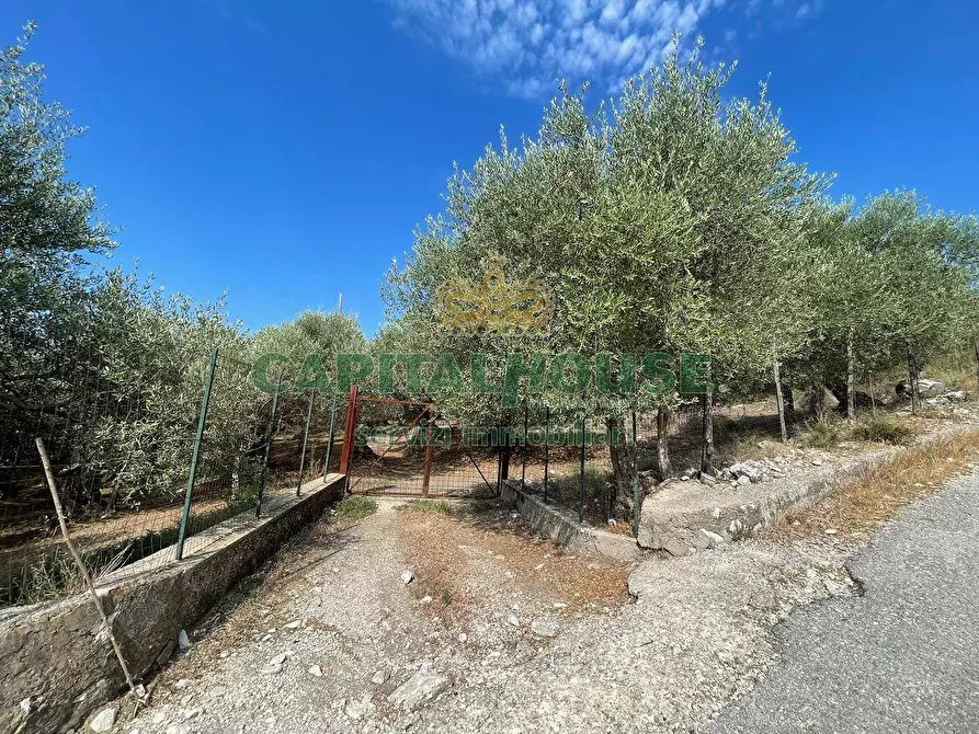 Immagine 6 di Terreno agricolo in vendita  in avella a Avella