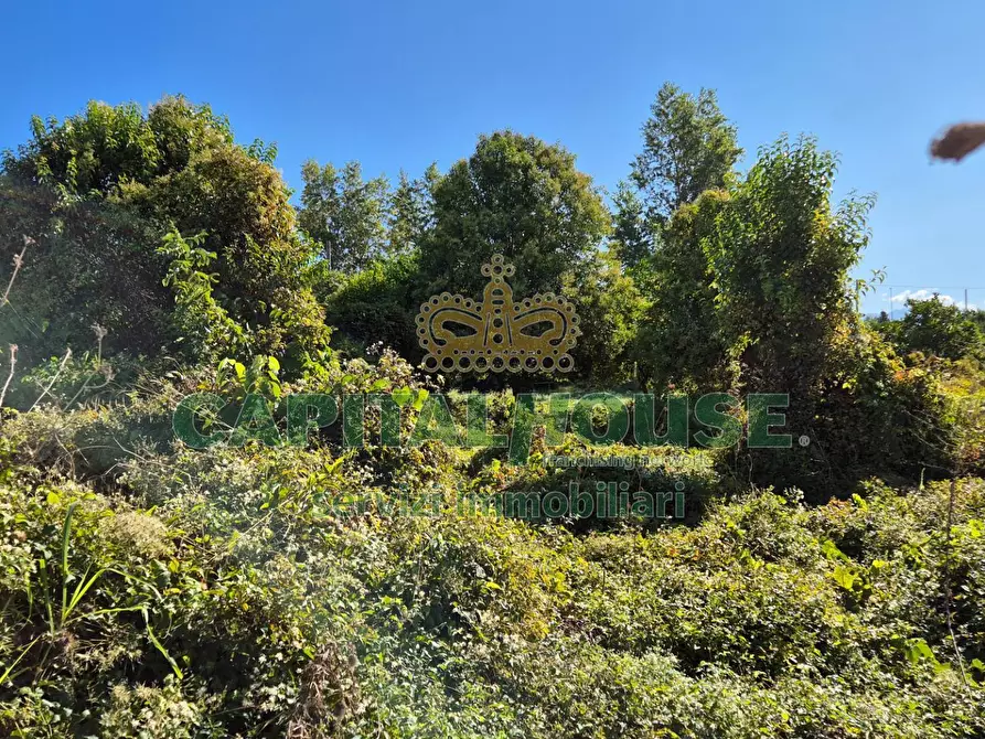 Immagine 1 di Terreno residenziale in vendita  a Camigliano