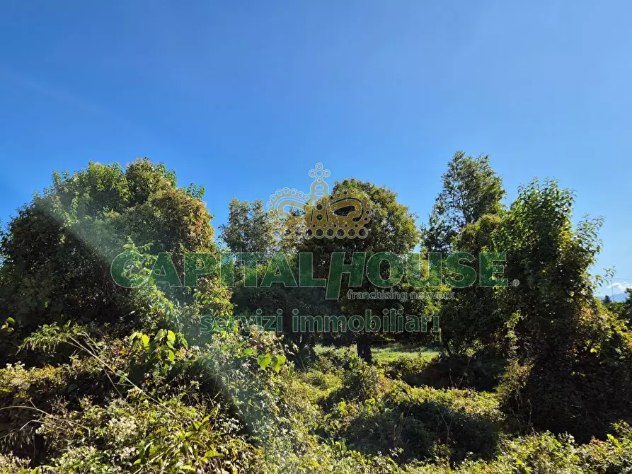 Immagine 3 di Terreno residenziale in vendita  a Camigliano