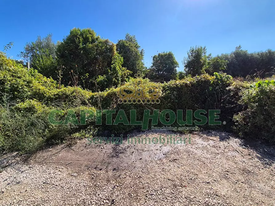 Immagine 6 di Terreno residenziale in vendita  a Camigliano