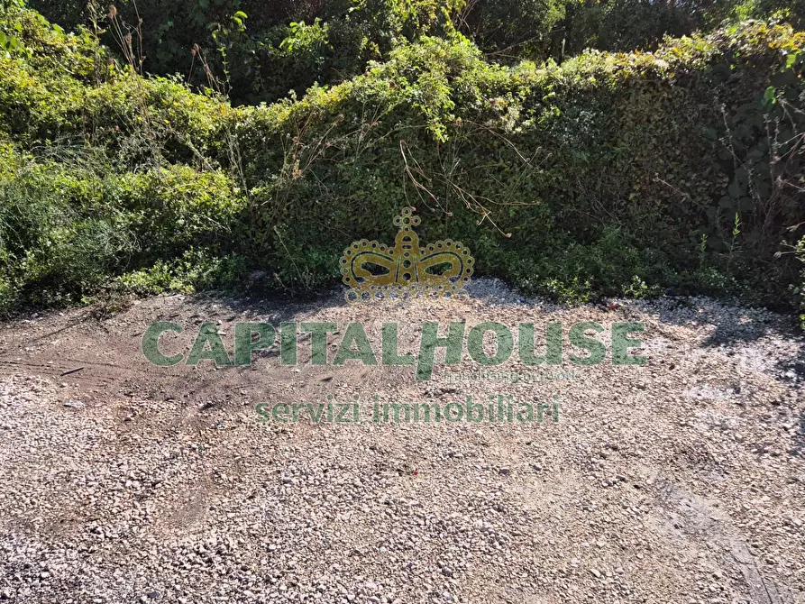 Immagine 7 di Terreno residenziale in vendita  a Camigliano