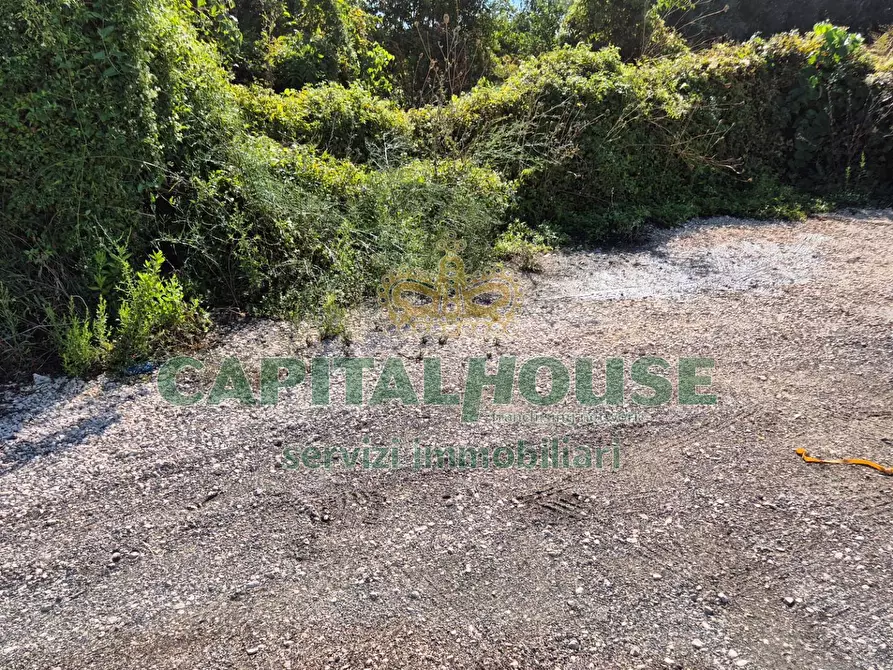 Immagine 11 di Terreno residenziale in vendita  a Camigliano