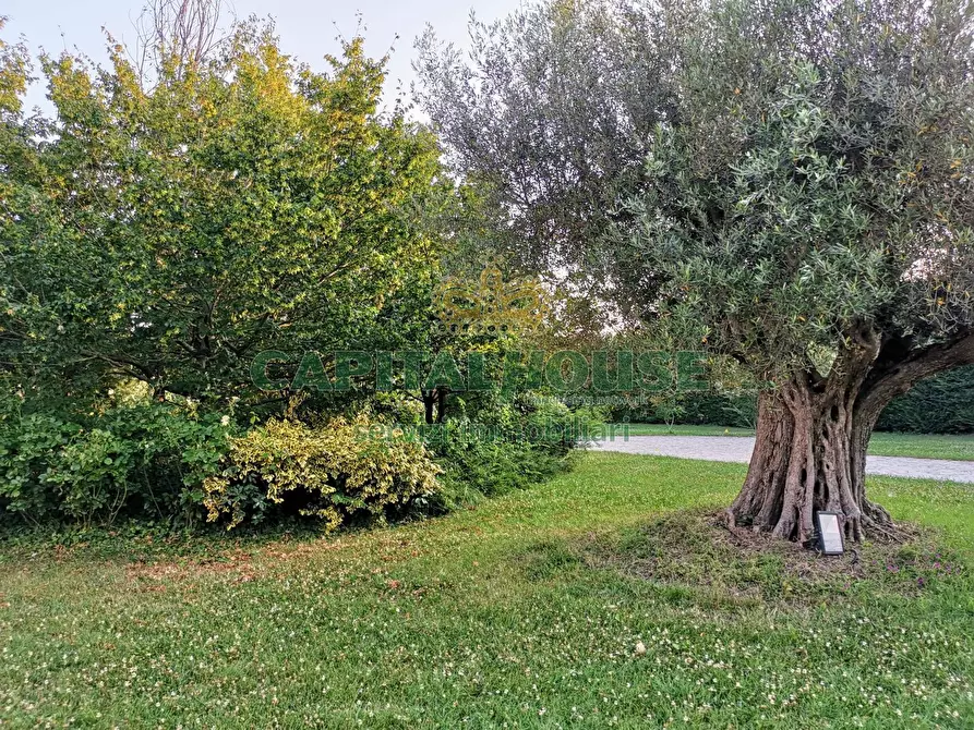 Immagine 34 di Villa in affitto  in Via Seragnoli a Bologna
