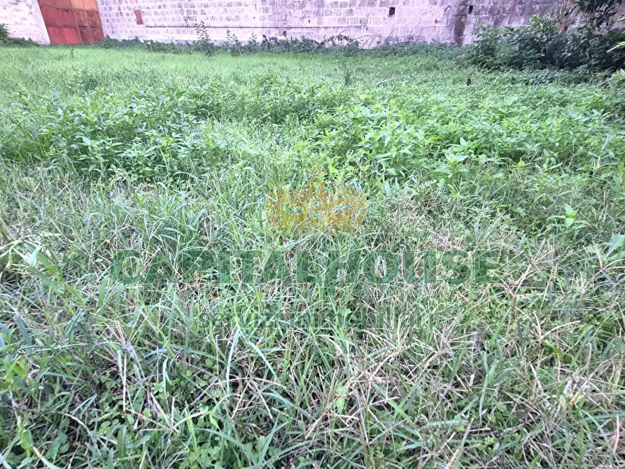 Immagine 4 di Terreno residenziale in vendita  a Capodrise