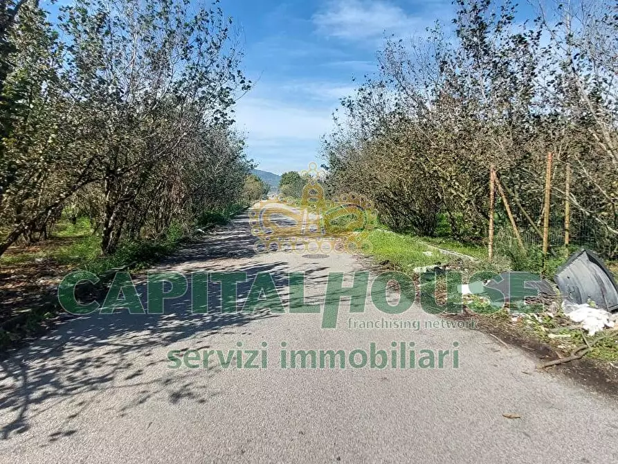 Immagine 3 di Terreno agricolo in vendita  in contrada colonna a Cercola