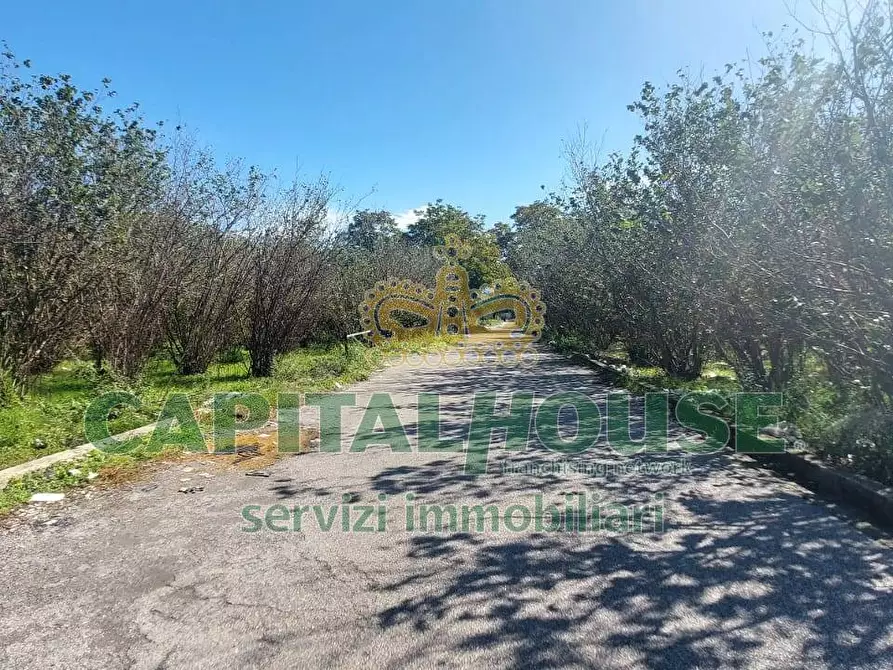 Immagine 4 di Terreno agricolo in vendita  in contrada colonna a Cercola