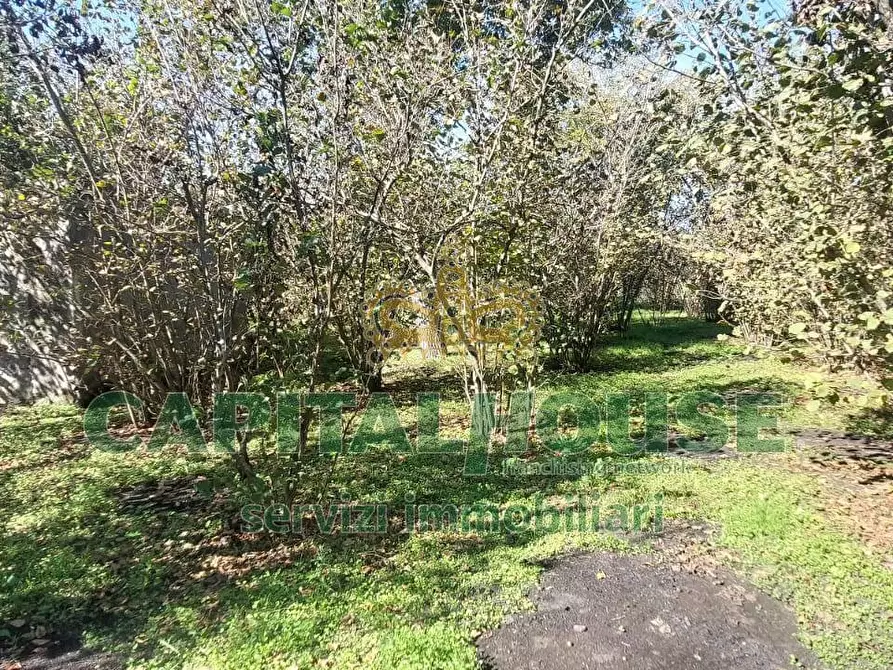 Immagine 6 di Terreno agricolo in vendita  in contrada colonna a Cercola