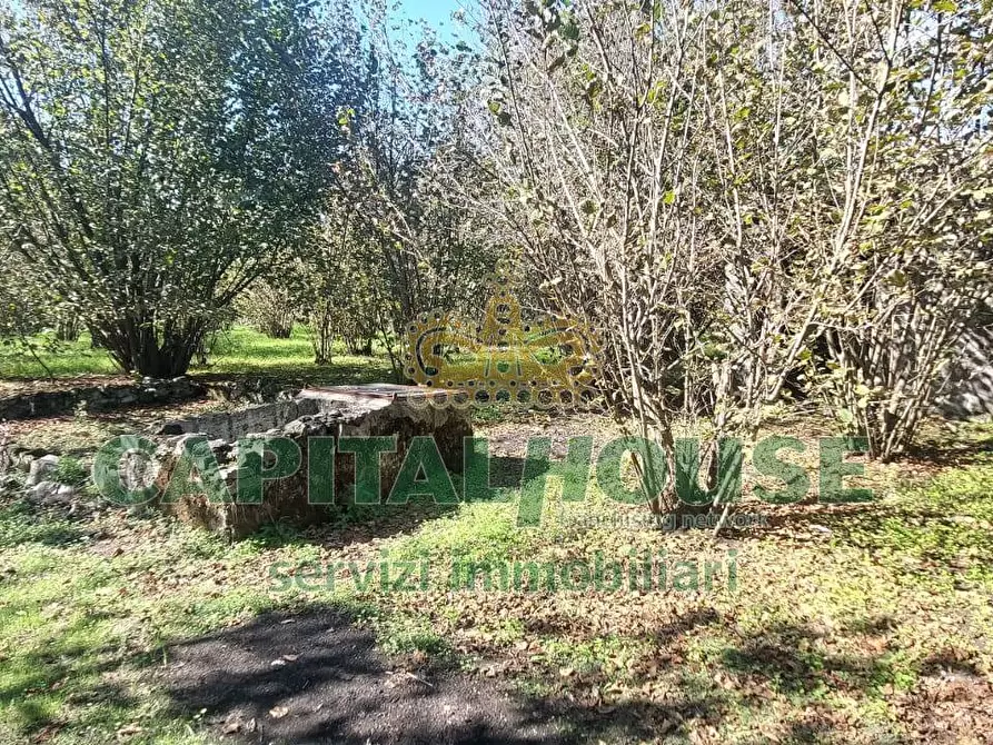 Immagine 7 di Terreno agricolo in vendita  in contrada colonna a Cercola