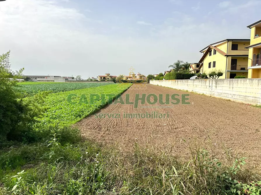 Immagine 2 di Terreno residenziale in vendita  in ZONA UFFICIO POSTALE a San Tammaro