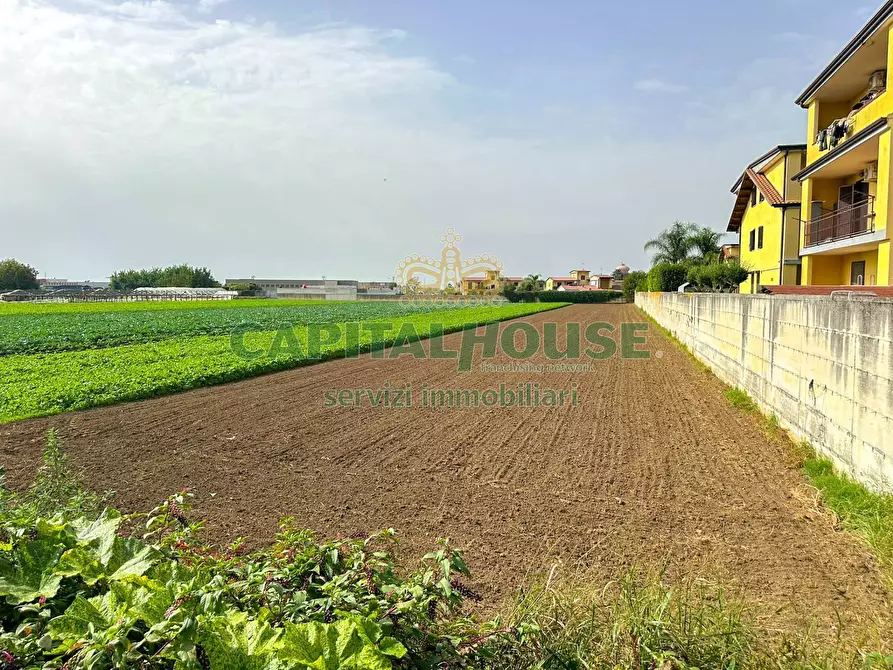 Immagine 3 di Terreno residenziale in vendita  in ZONA UFFICIO POSTALE a San Tammaro