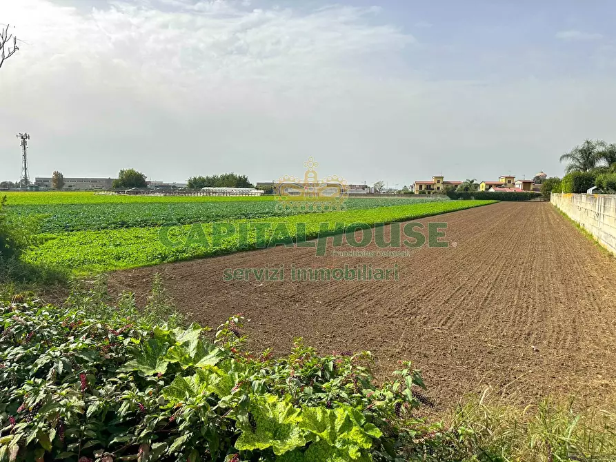 Immagine 4 di Terreno residenziale in vendita  in ZONA UFFICIO POSTALE a San Tammaro