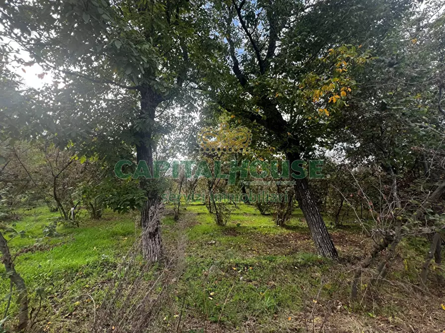 Immagine 4 di Locale commerciale in vendita  in via calabricità a Mugnano Del Cardinale