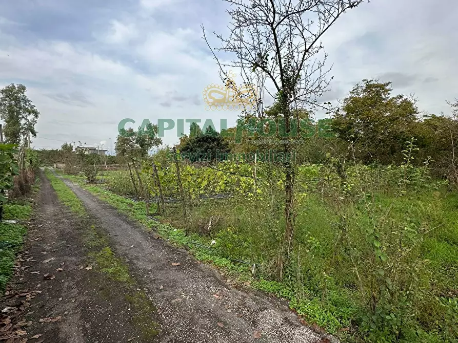 Immagine 8 di Locale commerciale in vendita  in via vasca al pianillo a San Giuseppe Vesuviano